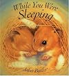 While You Were Sleeping