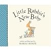 Little Rabbit's New Baby