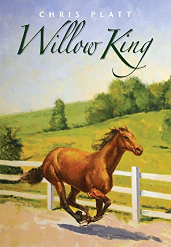 Cover of Willow King