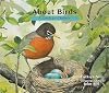 About Birds: A Guide for Children