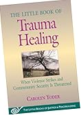 The Little Book of Trauma Healing