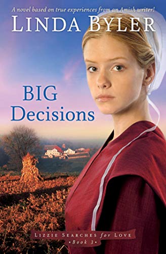 Big Decisions book cover