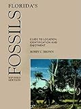 Floridas Fossils Guide To Location Identification And Enjoyment
