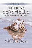 Floridas Seashells A Beachcombers Guide