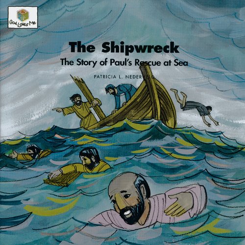Cover of The shipwreck
