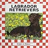 Labrador Retrievers (Checkerboard Animal Library: Dogs)