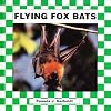 Flying Fox Bats