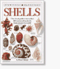 Shells Eyewitness Handbooks