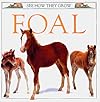 Foal (See How They Grow)