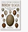 Birds' Eggs