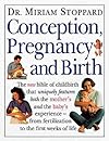 Conception, Pregnancy and Birth