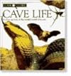 Cave Life (Look Closer)