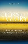 From Glory to Glory: Spirit and Sacrament in the Writings of Paul and John (Biblical Commentaries)