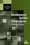 Development and the Private Sector: Consuming Interests (Development in Practice)