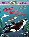 Whales, Sharks, and Other Sea Creatures