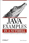 Java Examples in A Nutshell
