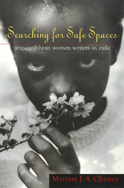 Searching for Safe Spaces book cover