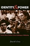 identity and power: puerto rican politics and the challenge of ethnicity