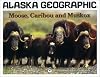 Moose, Caribou and Muskox