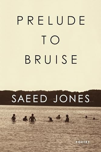 Prelude to Bruise book cover