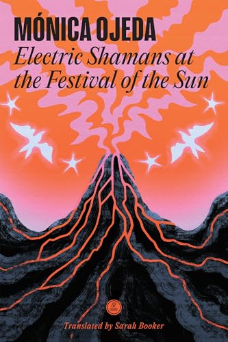 Electric Shamans at the Festival of the Sun book cover