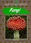 Our Living World - Fungi