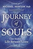 Journey of Souls: Case Studies of Life Between Lives