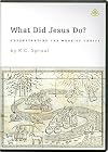 What Did Jesus Do?: Understanding the Work of Christ (Twelve 23-Minute Messages on 2 DVDs)