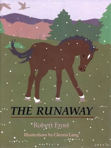 The Runaway book cover