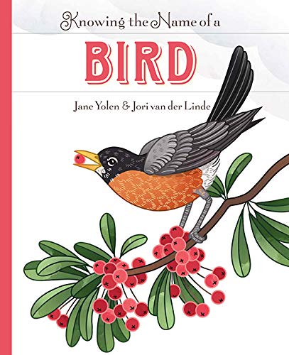 Knowing The Name Of A Bird book cover