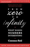 From Zero to Infinity: What Makes Numbers Interesting
