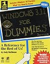 Windows 3.11 for Dummies