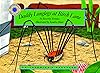 Daddy Longlegs at Birch Lane - a Smithsonian's Backyard Book
