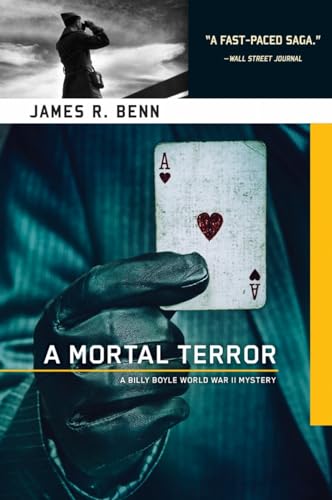 A Mortal Terror book cover