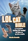 Lolcat Bible In Teh Beginnin Ceiling Cat Maded Teh Skiez An Da Urfs N Stuffs