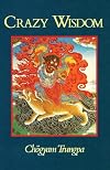 Crazy Wisdom (Dharma Ocean)
