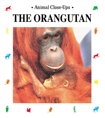 Cover of The Orangutan