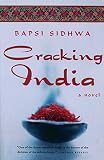 Cracking India A Novel