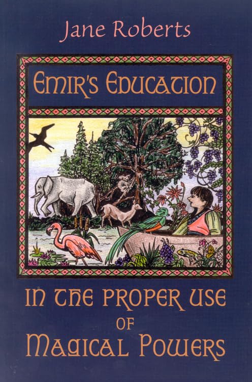 Emir's Education in the Proper Use of Magical Powers book cover
