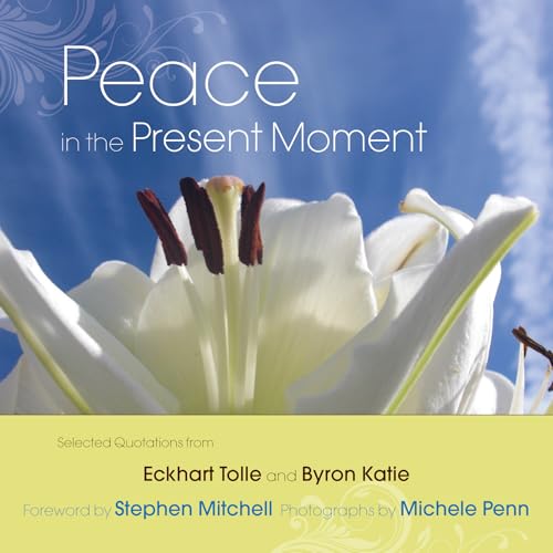 Peace in the Present Moment book cover