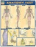 Anatomy Test Quick Study Guidesacademic