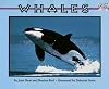 Whales (Mondo Animals)