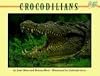 Crocodilians (Mondo Animals)