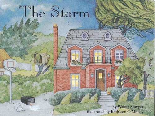 Cover of The Storm