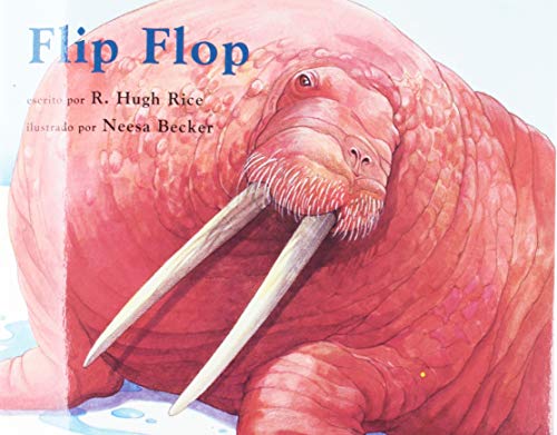 Cover of Flip Flop