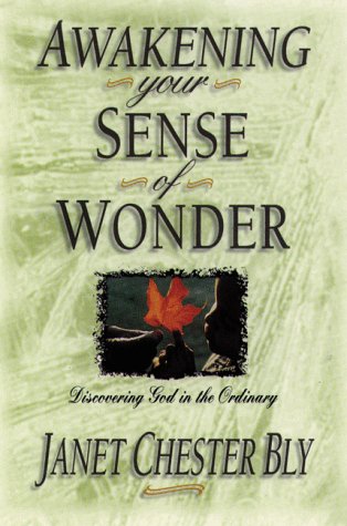 Awakening Your Sense of Wonder: Discovering God in the Ordinary book cover