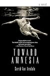 Toward Amnesia