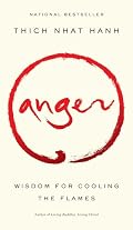Cover of Anger: Wisdom for Cooling the Flames
