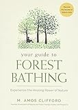 Your Guide To Forest Bathing Experience The Healing Power Of Nature