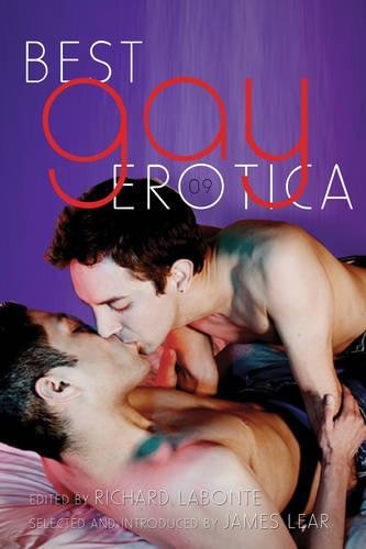 Best Gay Erotica 2009 book cover